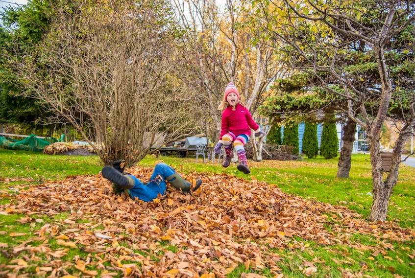 Wow, that looks like so much fun. Rory and Harry raked those leaves together mostly by themselves.