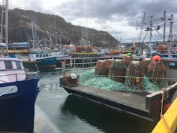 Crab bots sit on the deck of a boat in St. John's harbour.