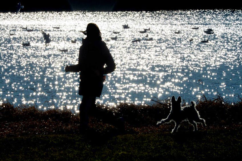 A woman takes her dog for a run on the Kents Pond trail in the east end of St. John’s. — Keith Gosse/The Telegram