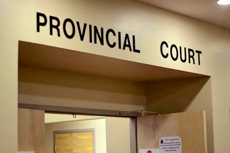 Newfoundland man deemed likely to commit more sexually-based crimes could lower his risk with treatment, court hears