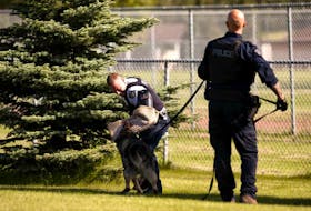 Training for the local RCMP canine unit will continue for the rest of this week.