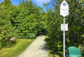 The entrance to Rennie's River Trail on Elizabeth Avenue in St. John's.