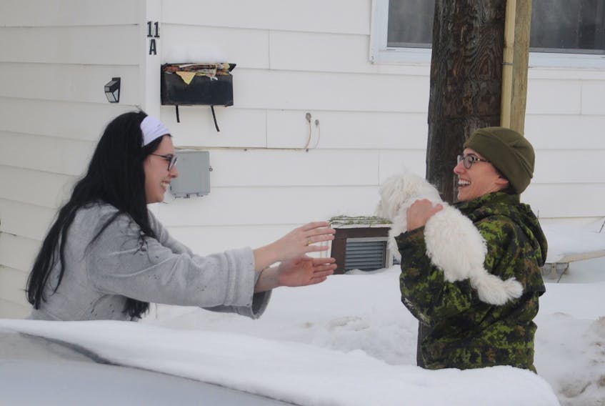 Royal Newfoundland Regiment reservist Sgt. Hannah Gaultois retrieved this dog that scampered out of a home on Franklyn Avenue Monday. — ANDREW ROBINSON/THE TELEGRAM