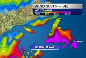 Teddy's expected windy impact on Newfoundland and Labrador. - CINDY DAY/SALTWIRE NETWORK