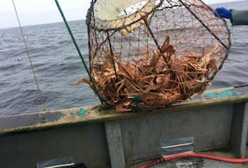 Fish species that the Atlantic Canadian industry relies upon are alreadyb feeling the effects of the changing climate.