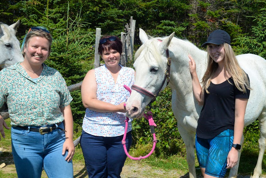 Madison Pretty (from left), Erin Gallant and Holly Dunphy, stand alongside Alison Walsh’s horse, Tinker, a 16-year-old Arabian cross horse at the Spirit Horse NL-Stable Life grounds on Indian Meal Line. A celebration of Walsh’s life will be held during Spirit Horse Day on Sunday from 10 a.m.