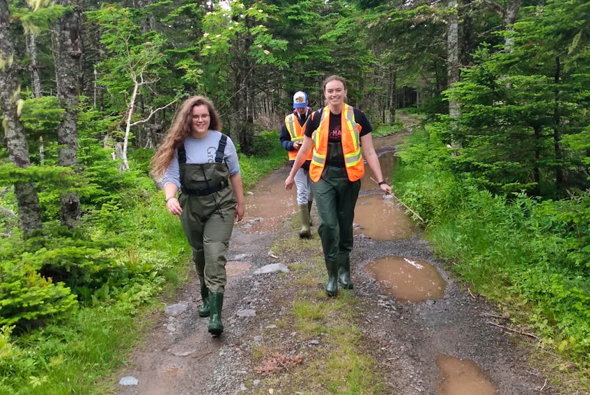 Green team members head for a day of testing the waterways  in Portugal Cove-St. Philip's.