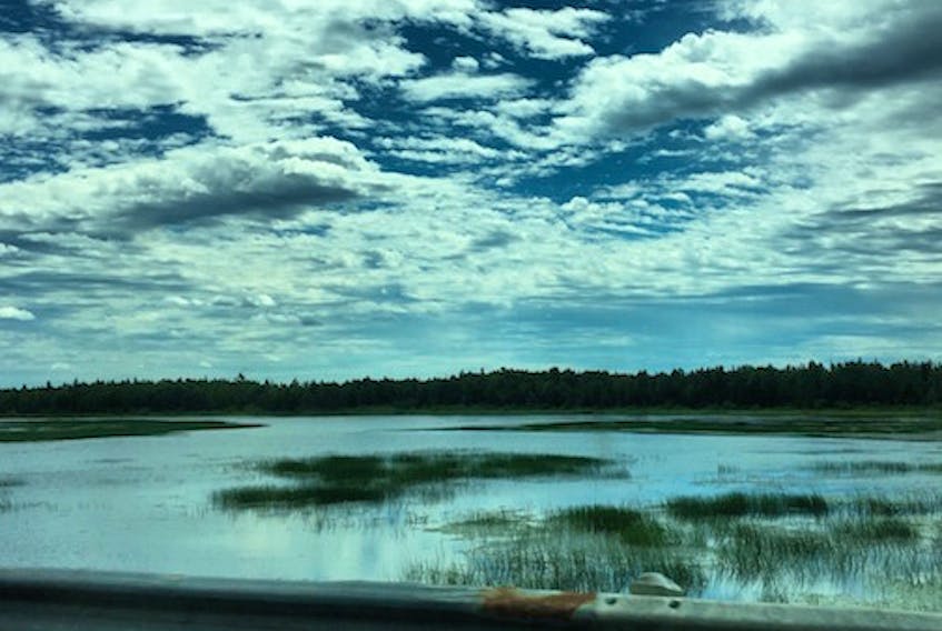 On the Trans-Canada Highway between Deer Lake and Grand Falls Windsor, July 21, 2020. — Photo by