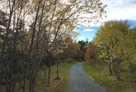 The Virginia River trail in St. John’s. — Submitted photo