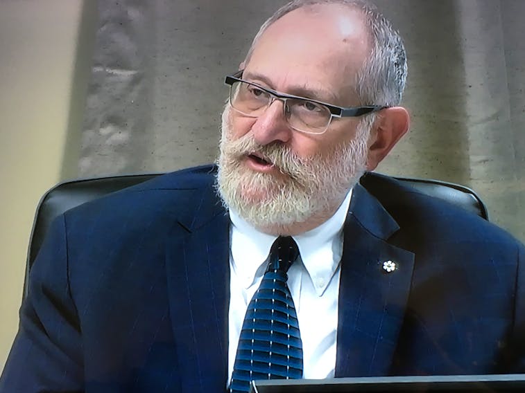 Professor at the Munk School of Global Affairs at the University of Toronto, Mel Cappe referred to his personal experience in the public service at the federal level, presenting to the Muskrat Falls Inquiry on Friday on the role and responsibilities of the public service. He was the last witness of phase three. — Screengrab