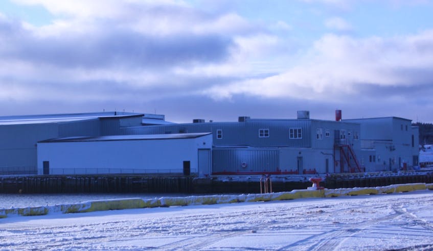 Clearwater Seafoods processes Arctic surf clams at its facility in Grand Bank.