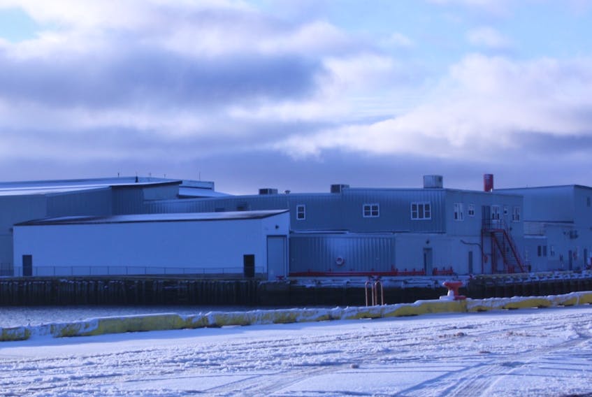 Clearwater Seafoods processes Arctic surf clams at its facility in Grand Bank.