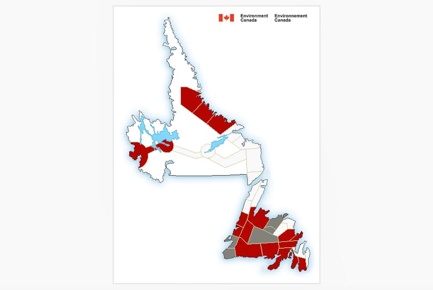 Weather warnings are in effect for the south coast of Newfoundland and Labrador today, Feb. 8.