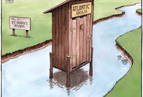 Bruce MacKinnon's editorial cartoon for Feb. 14, 2020. Atlantic Gold, St. Mary's river, salmon, salmon spawning, aquaculture, mining, salmon stocks, fish spawning, gold mine, gold mining, Guysborough County.