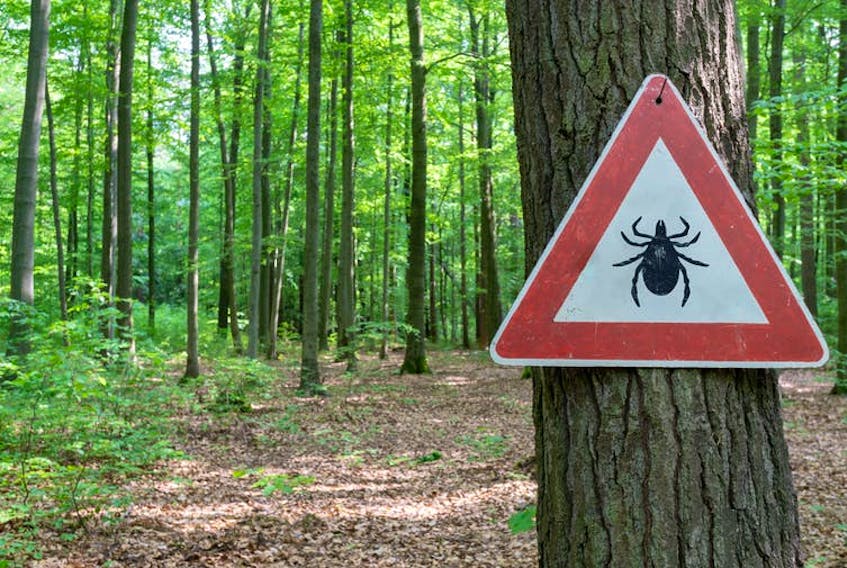 Nova Scotia has the largest tick populations in Canada and residents are either medium or high-risk for Lyme disease.