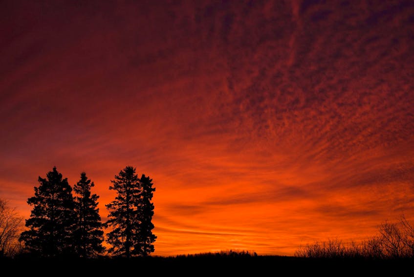 It looked like the sky was on fire in Antigonish NS Tuesday morning. — Bernice MacDonald