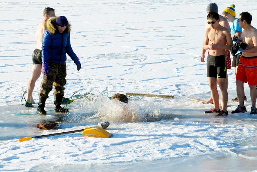 Only the top of his head can be seen as this swimmer plunges into the frigid water of the Charlotettown Harbour Monday.