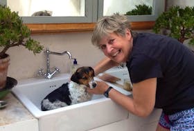 A photo from several years ago of Linda Coakley giving the dog she’s tending in Ireland a bath.