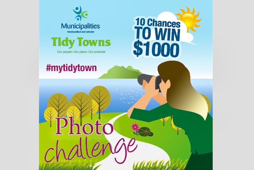 Tidy Towns Photo Challenge