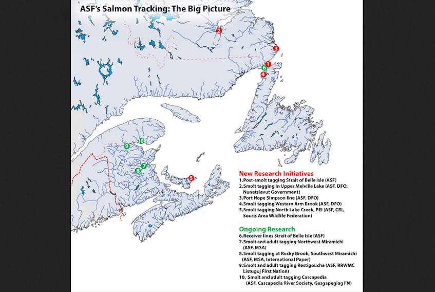 A map of the four new Atlantic Salmon Federation project sites in Newfoundland and Labrador and the organization’s existing study rivers. - Atlantic Salmon Federation