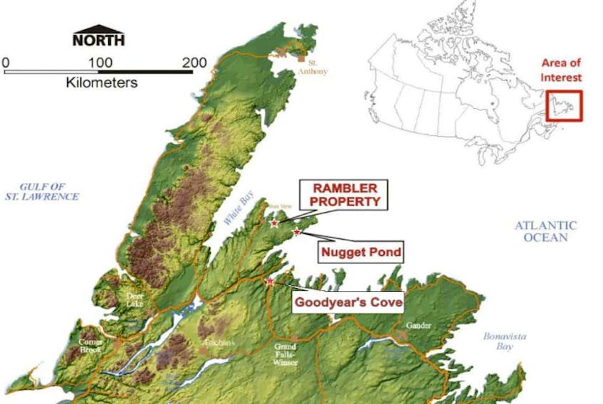 Rambler Metals and Mining Canada Ltd. is proposing to expand its tailing management facility at the Nugget Pond mill site on the Baie Verte Peninsula. - Rambler Metals
