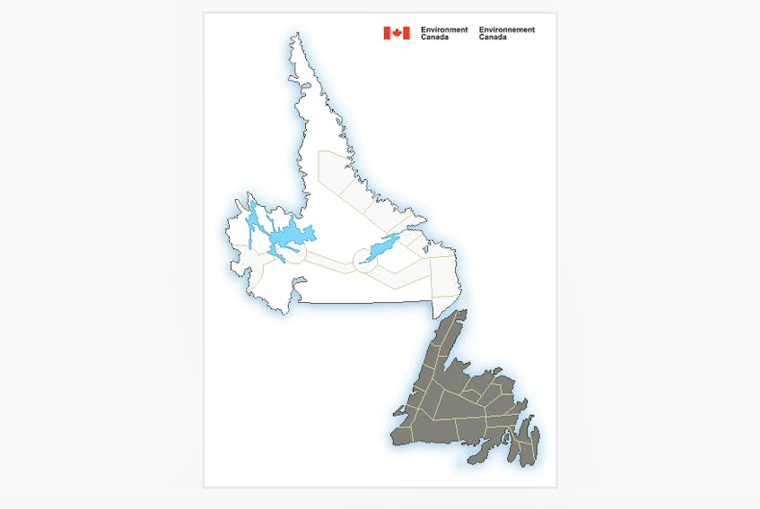 Environment Canada has issued special weather statements for all areas of the island of Newfoundland.