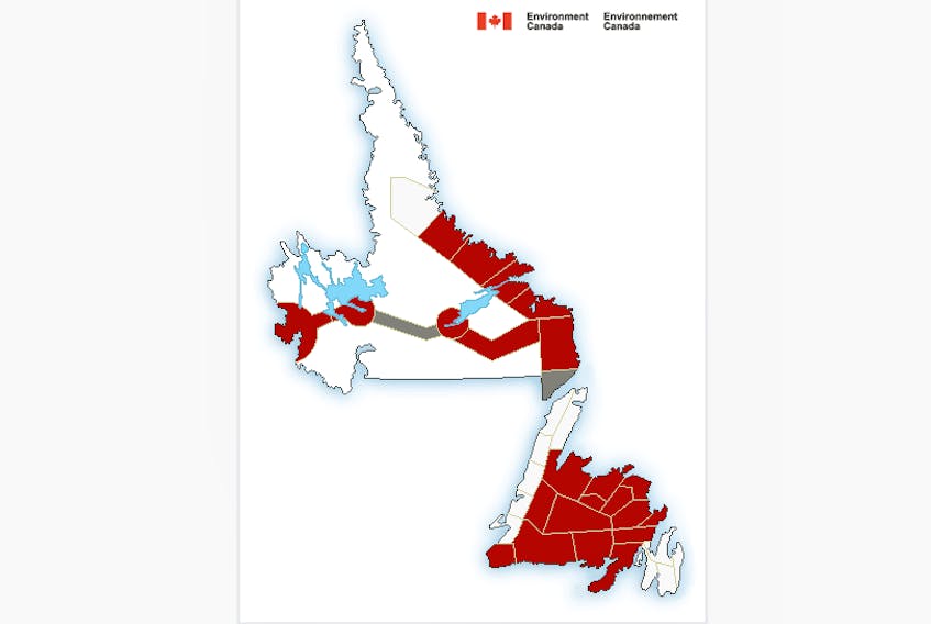 This graphic from Environment Canada shows weather warnings and advisories in place for Newfoundland and Labrador as of 5 p.m. on Tuesday, Jan. 30.