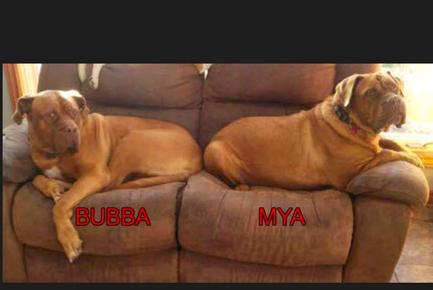 Bubba and Mya