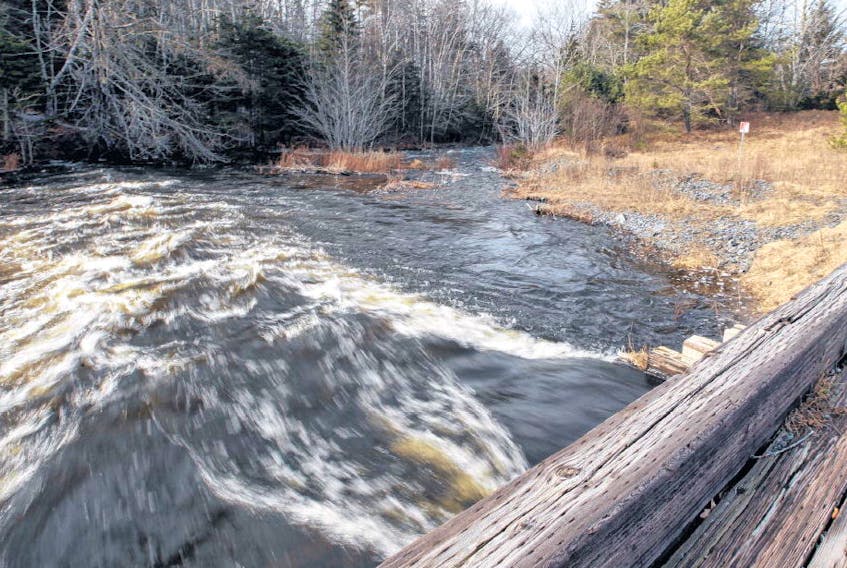 An anonymous letter was sent to the federal naming board, two members of Parliament and several media outlets last month, requesting Tillmann Brook in Fall River be renamed. ERIC WYNNE • THE CHRONICLE HERALD