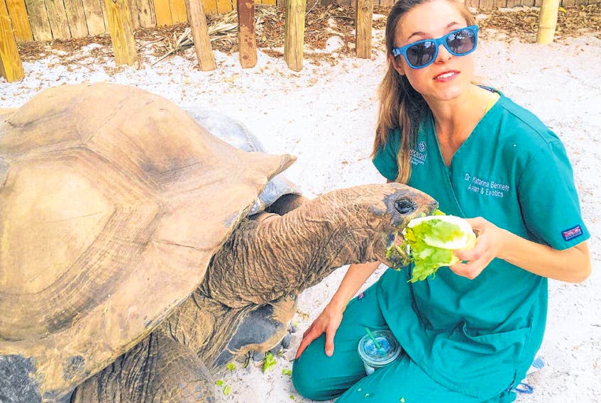 Dr. Trina Bennett poses with a tortoise at her exotic animal practice in Sarasota, Florida.