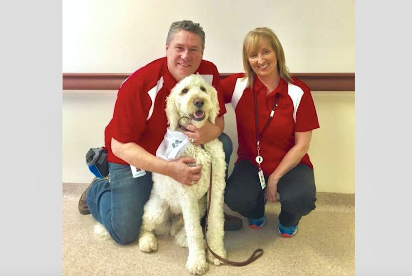 For the past two years Joe Sauliner, Bridget Roberts and Jax have been volunteers with the St. John Ambulance therapy dog program.