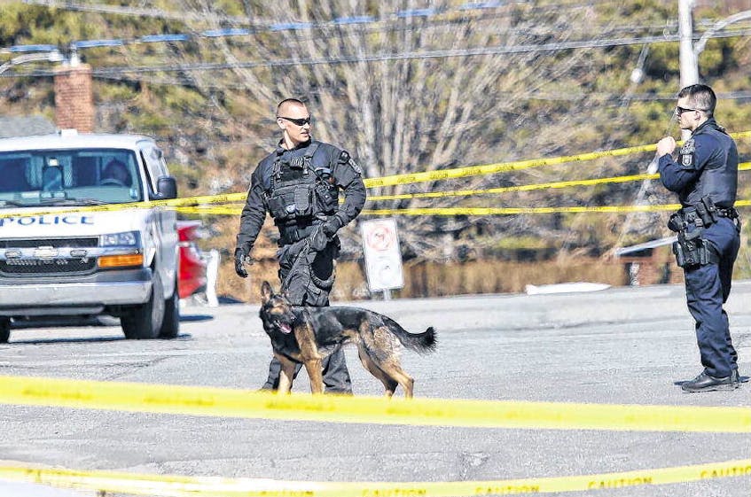 Halifax Regional Police officers work at the scene of a Dartmouth shooting on Monday afternoon. A man was taken to hospital with life-threatening injuries.
TIM KROCHAK PHOTOS • THE CHRONICLE HERALD