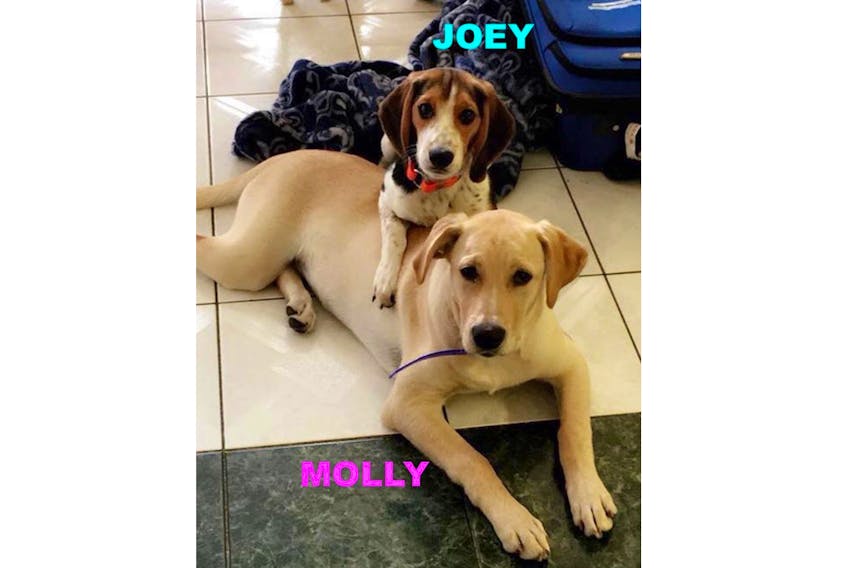 Molly and Joey