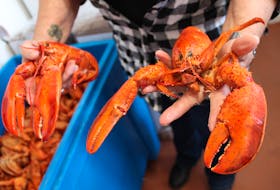 On Friday, fishermen in areas of Cape Breton saw their catch price of lobster drop by fifty-cents from $6.50 to $6 a pound.