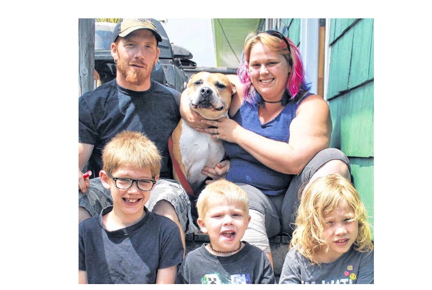 A Canso family has been told by the Municipality of the District of Guysborough to rehome their dog based on genetic testing that indicates the mixed-breed animal is, in part, an American Staffordshire terrier. Pictured from left to right, top: Bradley MacNabb, Chico, and Carrieann Parker; bottom row, William MacNabb, Kayleb MacNabb and Devon MacNabb.