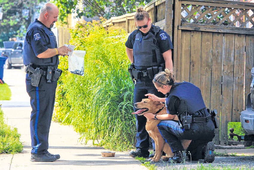 Halifax police officers care for a dog after being called about cruel treatment.
TIM KROCHAK