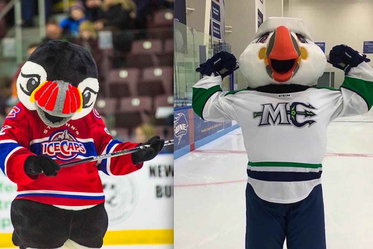 The Maine Mariners' mascot, Beacon, pays NEWS CENTER Maine a visit