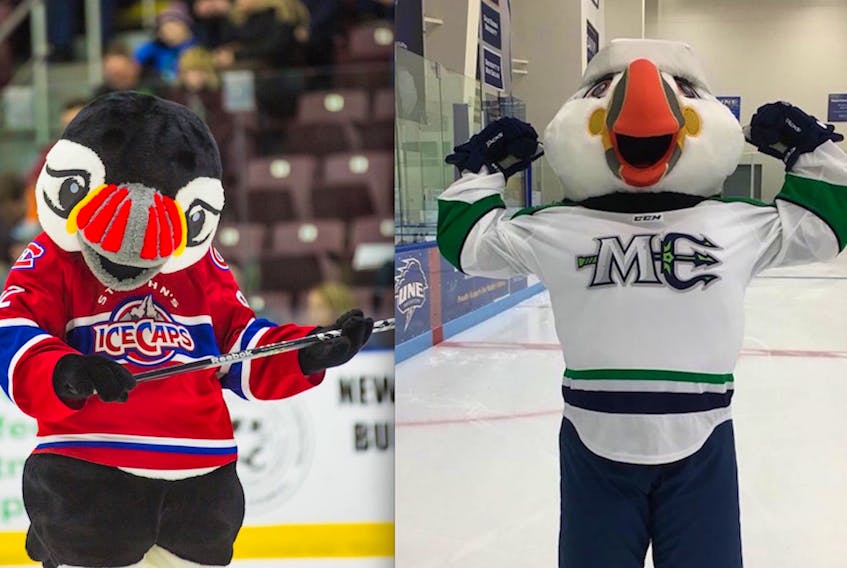 If Buddy (left) returns to the ice as part of the Newfoundland Growlers this season, he won’t be the only puffin mascot in the ECHL. On Wednesday, the Maine Mariners, introduced Beacon (right) as part of their team. The Growlers and Mariners both begin play in the ECHL this fall. — File photo/St. John’s IceCaps/Jeff Parsons and Twitter/@MarinersOfMaine