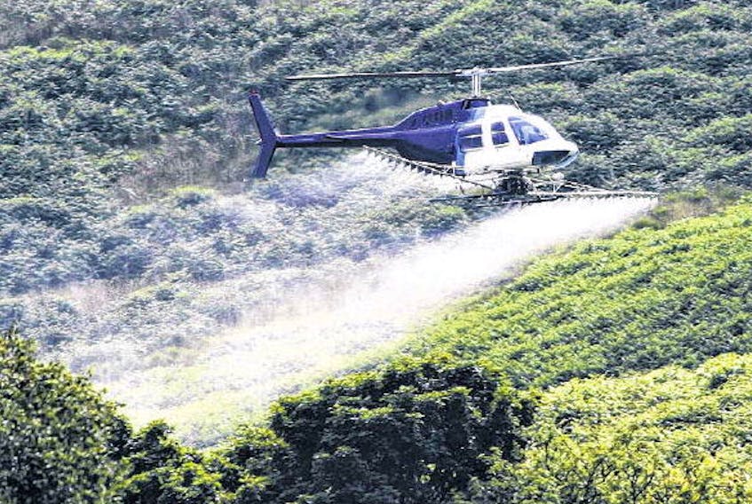 A helicopter applies a herbicide spray in a forested area. Northern Pulp has applied to the provincial Environment Department to spray 794 hectares of woodland with the herbicide VisionMax in the late summer and fall. 123RF