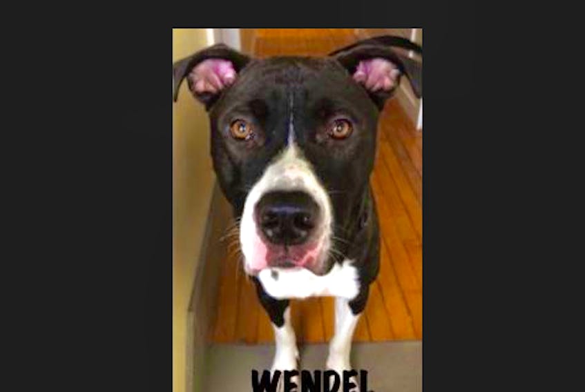 Wendell