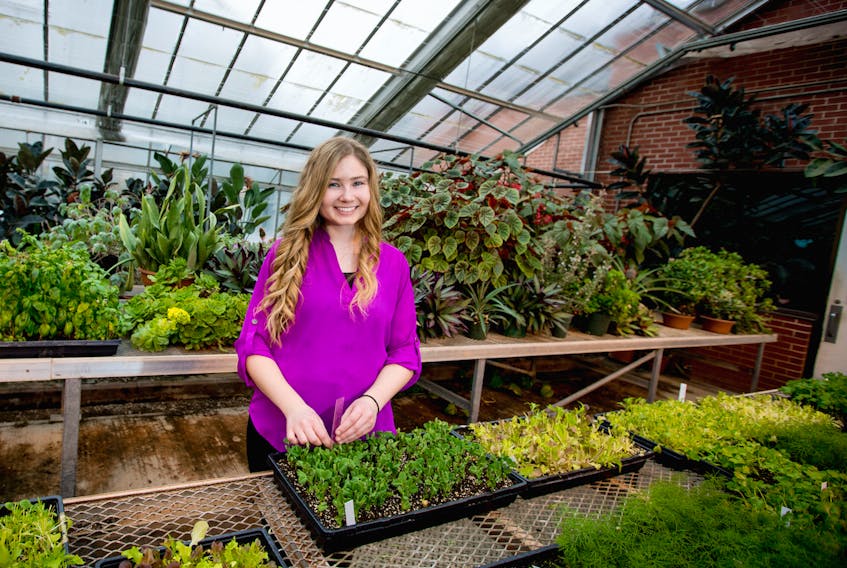 Morgan McNeil, a plant science student at Dalhousie Agricultural Campus in Bible Hill, loves getting hands-on experience in the greenhouse.