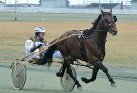 Brent MacGrath drove Somebeachsomewhere in qualifiers at Truro Raceway before the horse headed off to set records. Eastlink will air a documentary on the life and career of the horse on Sunday.