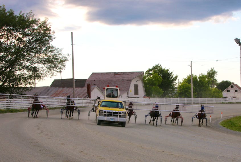 Horses behind the gate at Truro Raceway as a race is about to begin.