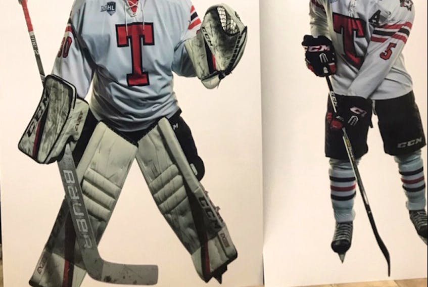 The Truro Bearcats are hoping to get back a fan-favourite goalie cutout taken from the RECC, that was used for the enjoyment of fans at games and for special events.