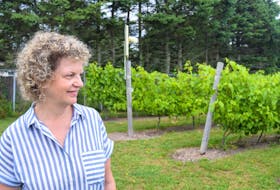 Jill Linquist’s vineyard covers just under one acre of land outside her Raging Crow Distillery.