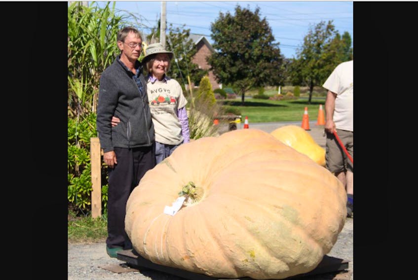 First-place winners Daryl and Maureen Tingley of Fredricton, N.B. with their 1,495-pound pumpkin at the Annapolis Valley Giant Vegetable Growers’ Competition and Weigh-off in Waterville on Sept. 27. ANITA FLOWERS