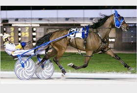 Waiting On A Woman wins a race at Pompano Park in Florida with Charlottetown native Wally Hennessey at the reins. Lap Time Photo/Special to The Guardian