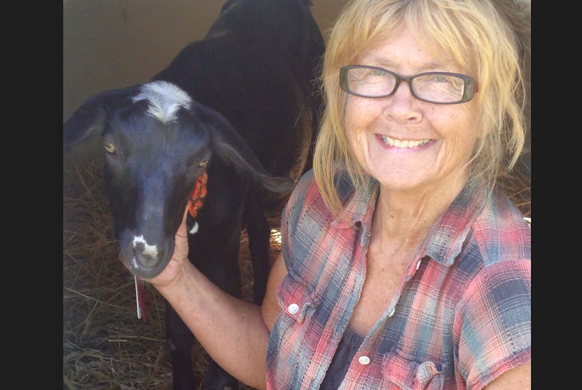 Jenni Blackmore enjoys the company of Julie, one of the goats on her micro farm. During a Seedy Saturday workshop, Blackmore will be sharing information on building up soil to make it more fertile.