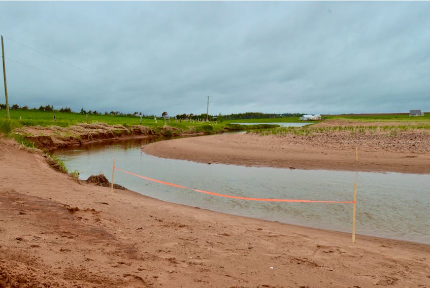 Water from Cousins Pond flows out to the Gulf of St. Lawrence in this photo. The water was cordoned off after a liquid manure spill on June 3. Warning signs did not go up until June 6.