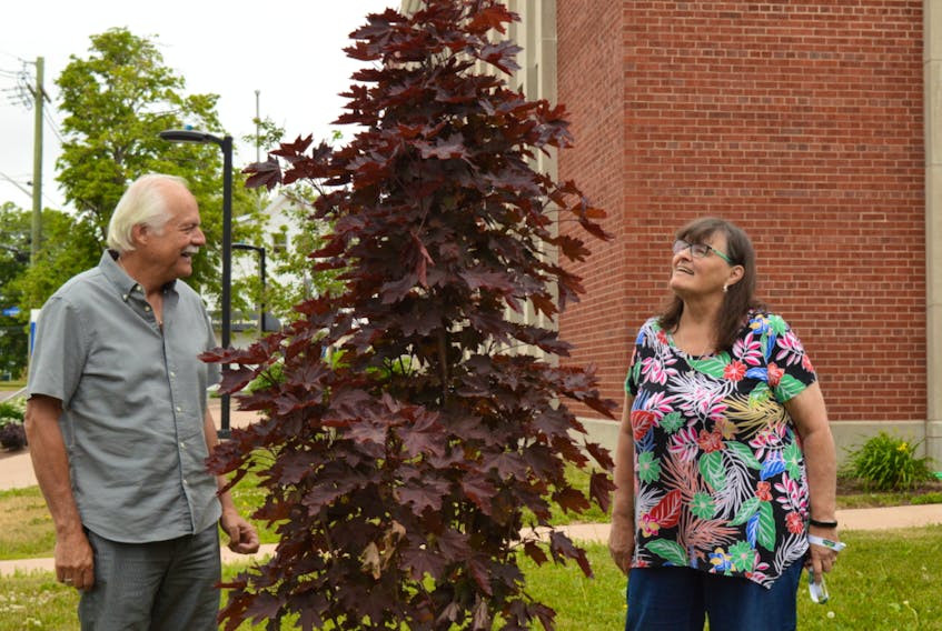 East Prince Seniors' Initiative (EPSI) president Don Anderson and executive director Gloria Schurman check on the maple tree planted in memory of the group. EPSI has closed its doors after 10 years of helping Summerside seniors.